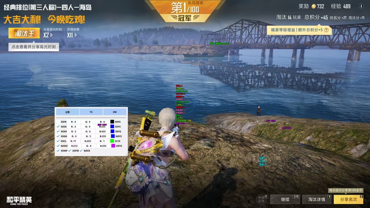 和平精英辅助